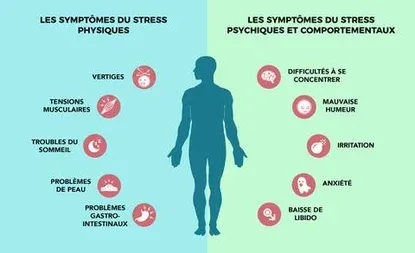 Infographie sur les symptomes du stress physique et du stress psychique