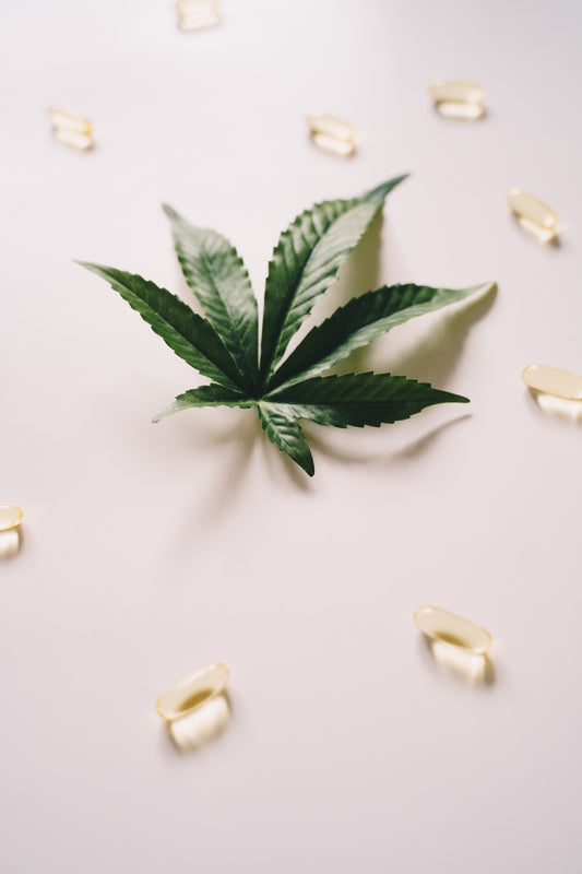 CBD bienfaits : quelles sont les vertus du cannabidiol ?